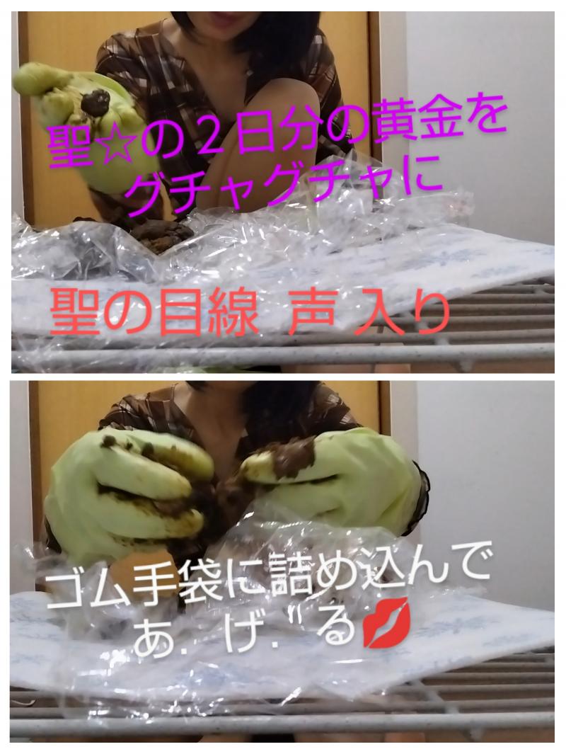 出品者名-写真